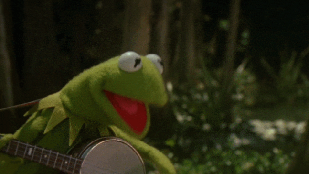 Source: http://theodysseyonline.com/maryland-institute-art/the-muppets-rebooting-the-rainbow-connection/271530